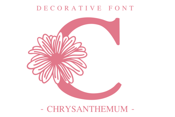 Elevate Your Designs with the Floral Elegance of Chrysanthemum