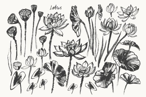 Integrating the Ink Lotus Flowers Set into Professional Design Workflows