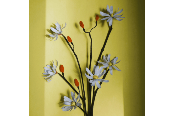 Magnolia Kobus Stellata: Elevating Interiors with Timeless Paper Botanicals
