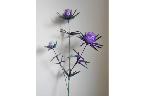 Thistle: Crafting the Wild Spirit of Scotland